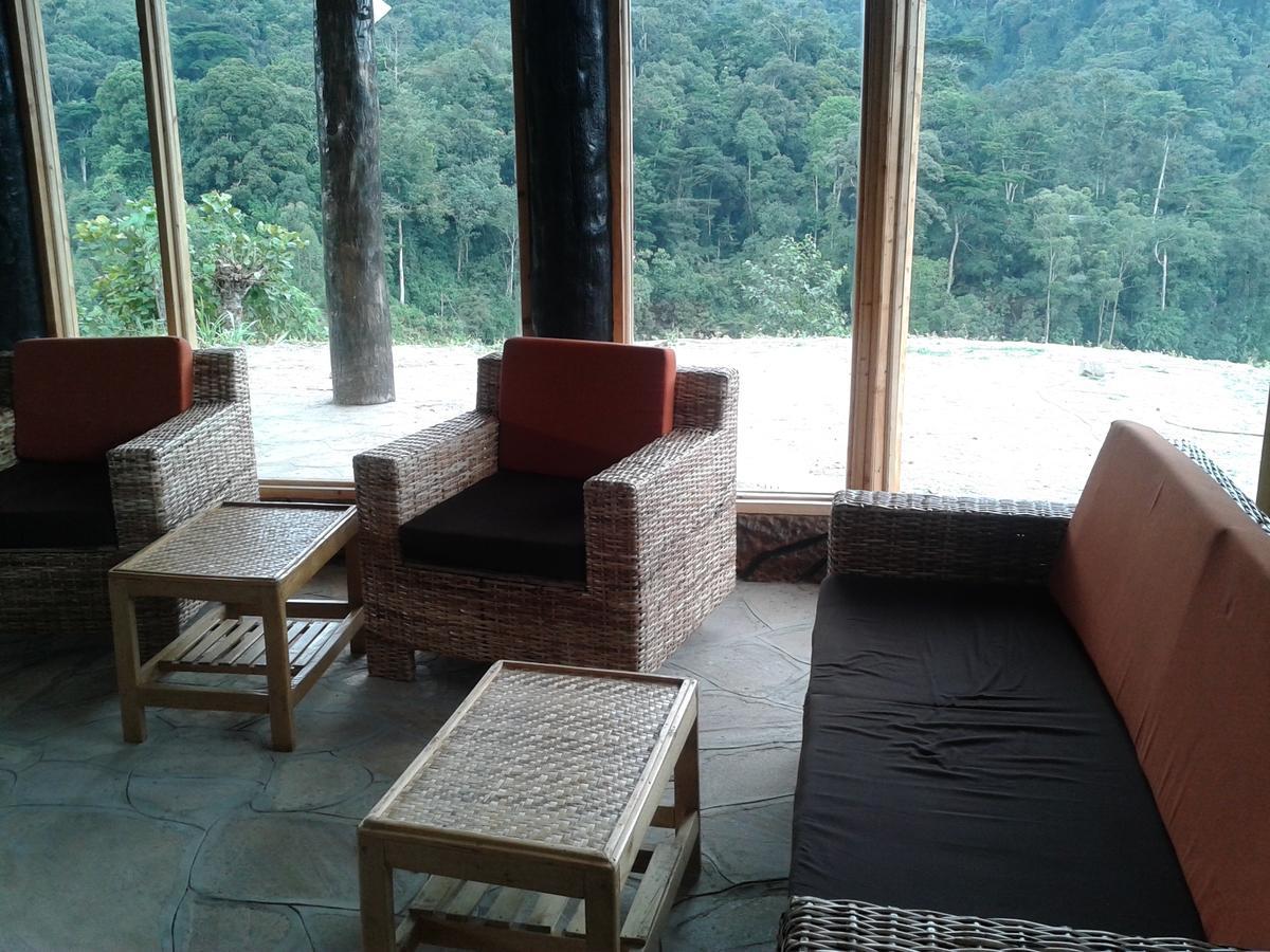 Rushaga Gorilla Lodge *