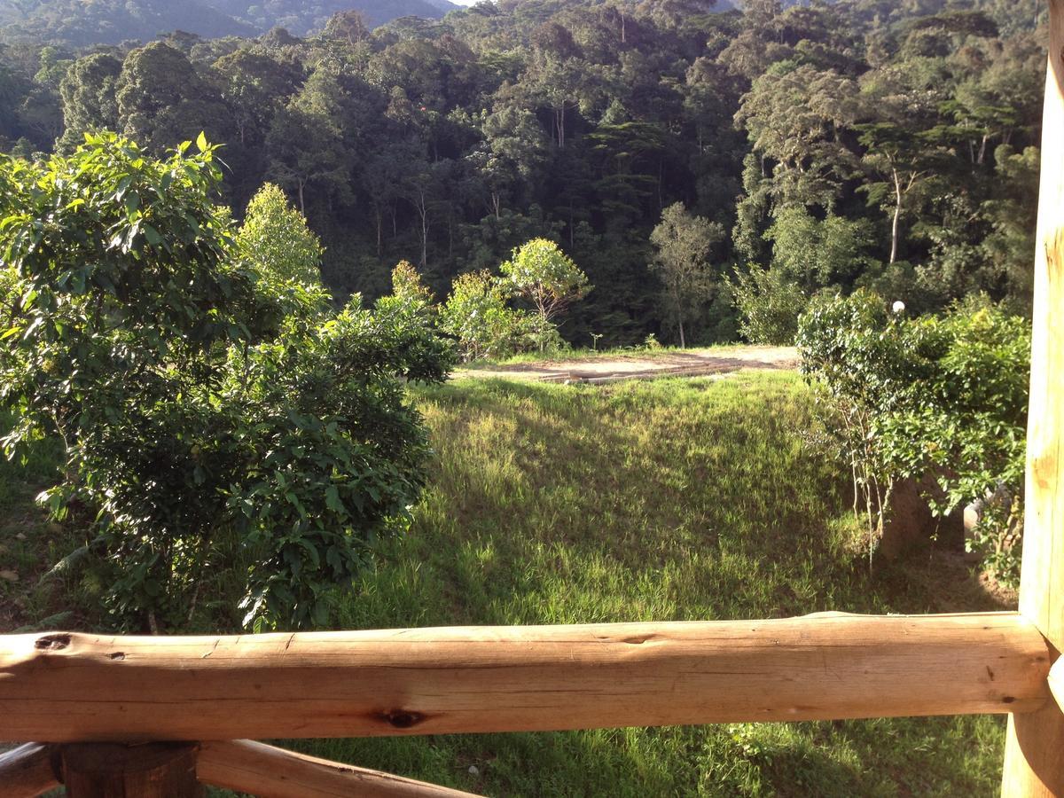 Rushaga Gorilla Lodge