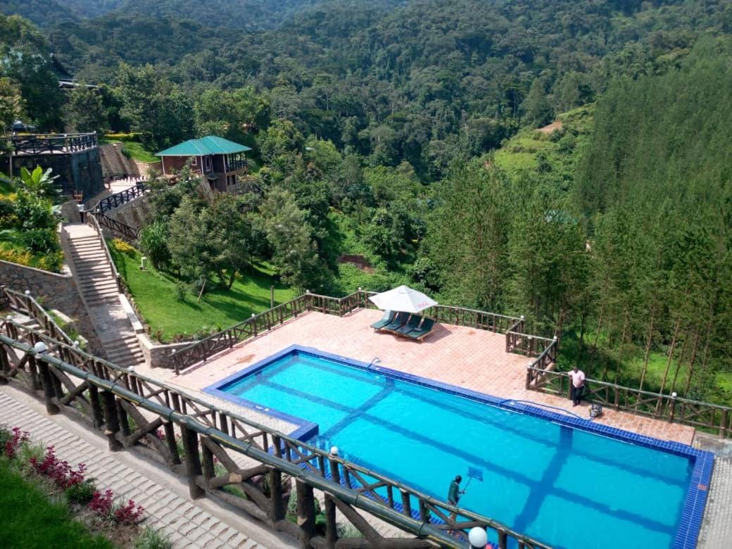Lodge Rushaga Gorilla *